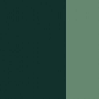 LINEL VERT OLIVE