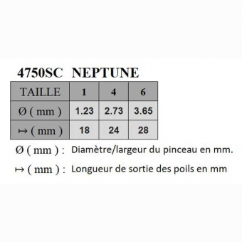 NEPTUNE SYNTHETIQUE TRACEUR SERIE P4750SC