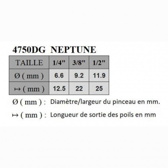 NEPTUNE SYNTHETIQUE STRIPER LONG SERIE P4750DG