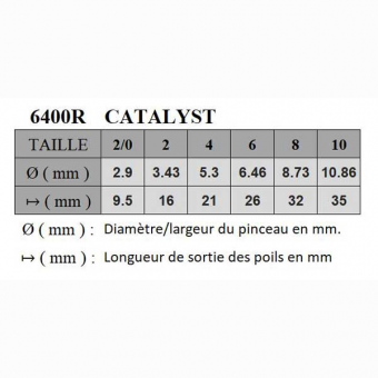 CATALYST SYNTHETIQUE ROND SERIE P6400R