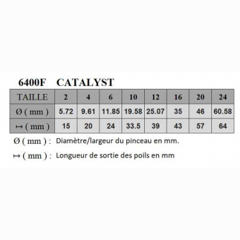 CATALYST SYNTHETIQUE PLAT SERIE P6400F