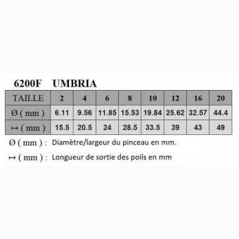 UMBRIA SYNTHETIQUE PLAT SERIE P6200F