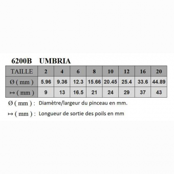 UMBRIA SYNTHETIQUE PLAT COURT SERIE P6200B