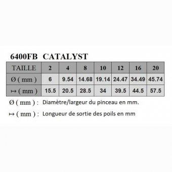 CATALYST SYNTHETIQUE USE BOMBE SERIE P6400FB