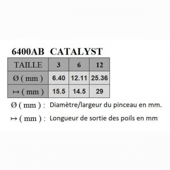 CATALYST SYNTHETIQUE BISEAU SERIE P6400AB