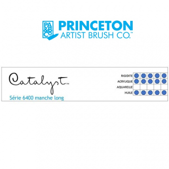 CATALYST SYNTHETIQUE PLAT COURT SERIE P6400B