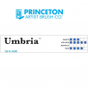 UMBRIA SYNTHETIQUE USE BOMBE SERIE P6200FB