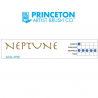 NEPTUNE SYNTHETIQUE LAVIS ROND SUR PLUME SERIE P4750Q