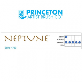 NEPTUNE SYNTHETIQUE LANGUE DE CHAT SERIE P4750OW