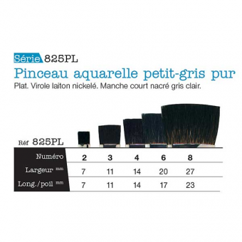 PETIT GRIS PUR PLAT A SERIE 825PL