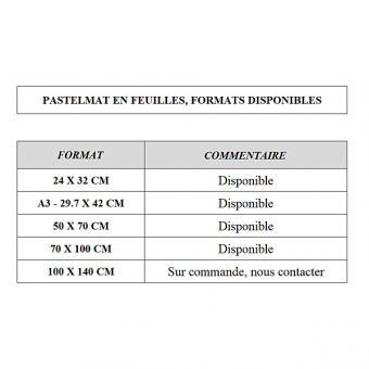 PASTELMAT FEUILLES, POCHETTES FEUILLE PASTELMAT 360 G BLANC