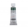 AQUARELLE EXTRA FINE HORADAM VERT DE HOOKER