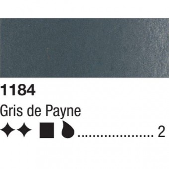 GRIS DE PAYNE