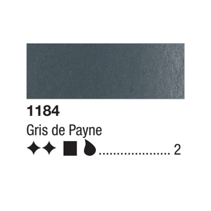 GRIS DE PAYNE