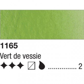 VERT DE VESSIE