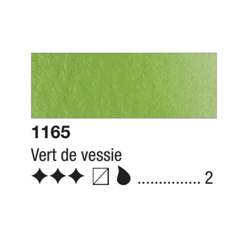 VERT DE VESSIE