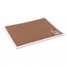 MI TEINTES TOUCH FEUILLE 50 X 65 335G SEPIA   133