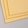 FEUILLE CONTRE COLLEE PASTELMAT 360 G  BOUTON D' OR