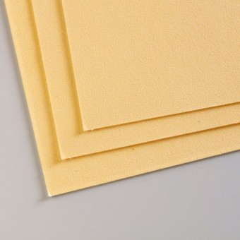 FEUILLE PASTELMAT 360 G  BOUTON D' OR