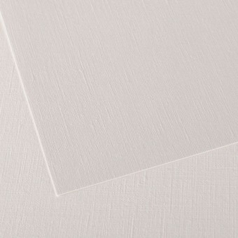 PAPIERS FIGUERAS FEUILLE 50 X 65 290G GRAIN TOILE BLANC