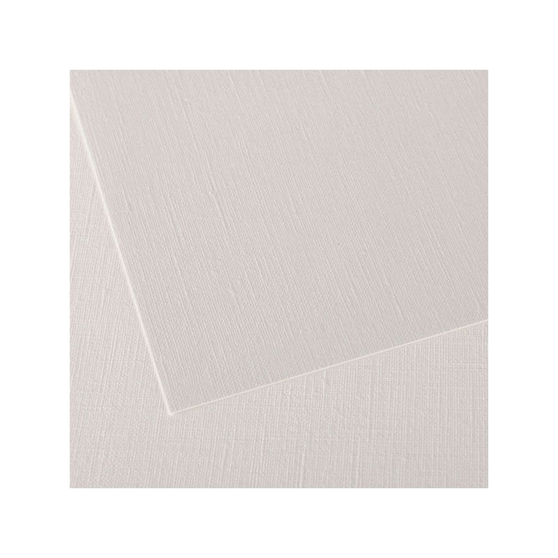 PAPIERS FIGUERAS FEUILLE 50 X 65 290G GRAIN TOILE BLANC