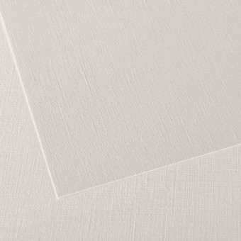 PAPIERS FIGUERAS FEUILLE 65 X 100 290G GRAIN TOILE BLANC