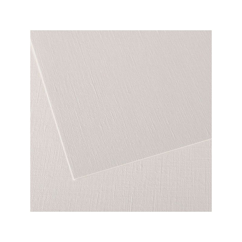 PAPIERS FIGUERAS FEUILLE 65 X 100 290G GRAIN TOILE BLANC