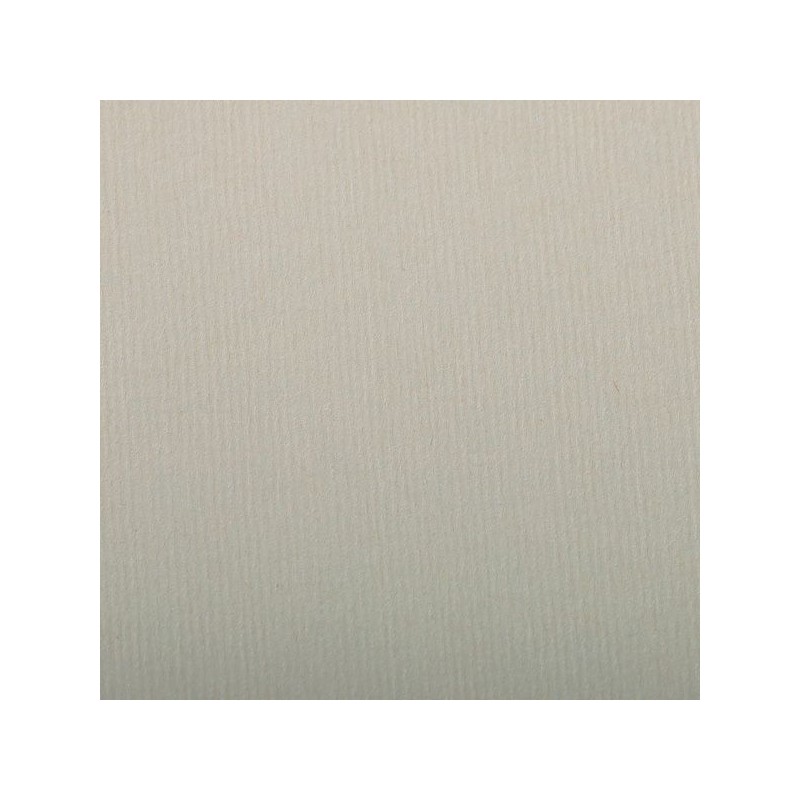 FEUILLE INGRES PASTEL 130 G 50 X 65 ACIER