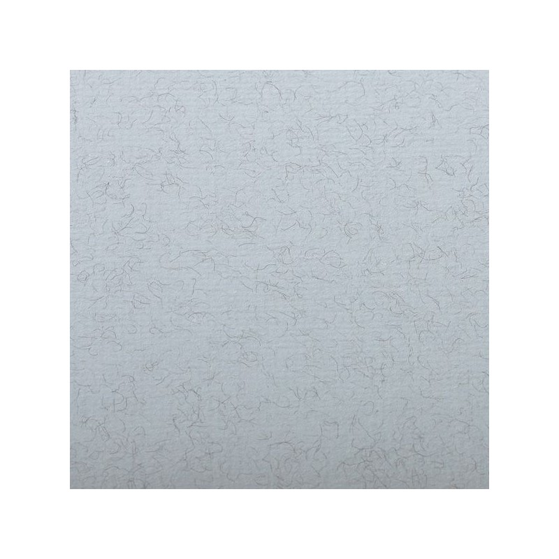 FEUILLE INGRES PASTEL 130 G 50 X 65 BLEU MARBRE