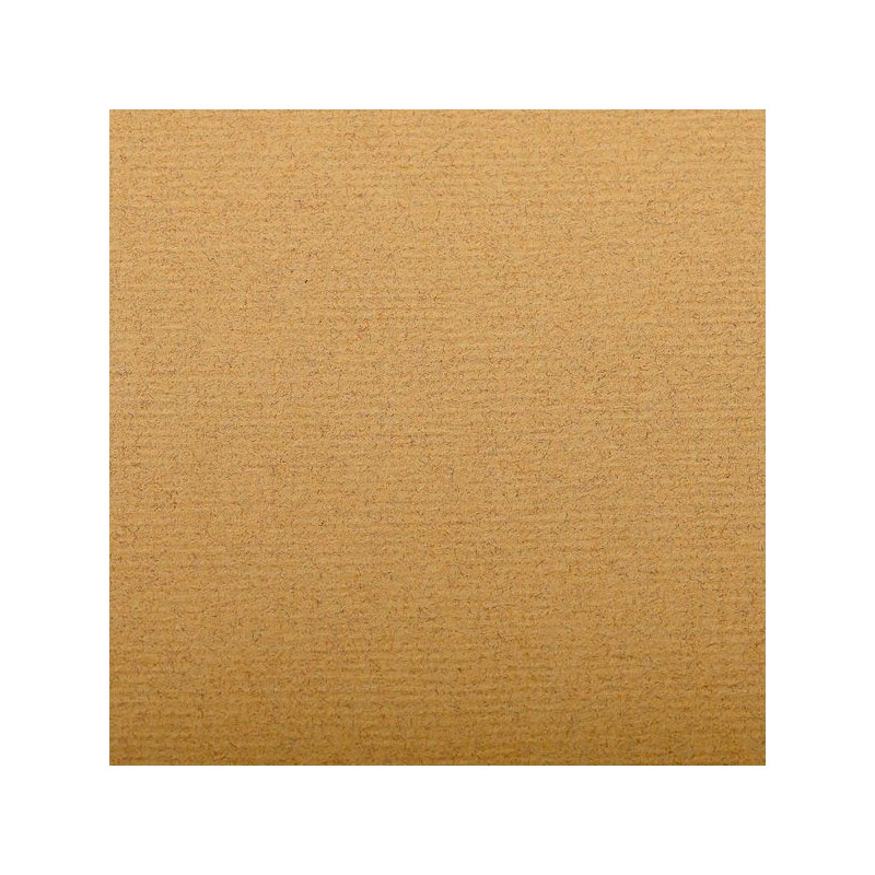 FEUILLE INGRES PASTEL 130 G 50 X 65 JAUNE