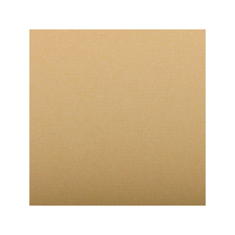 FEUILLE INGRES PASTEL 130 G 50 X 65 ECRU