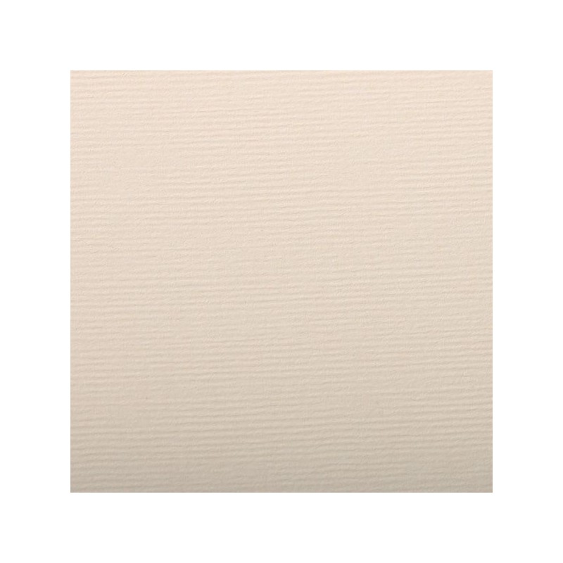 FEUILLE INGRES PASTEL 130 G 50 X 65 BEIGE UNI