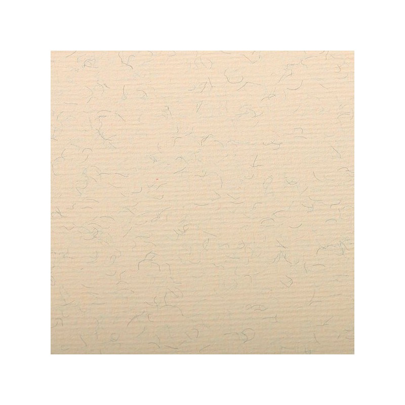 FEUILLE INGRES PASTEL 130 G 50 X 65 CREME MARBRE