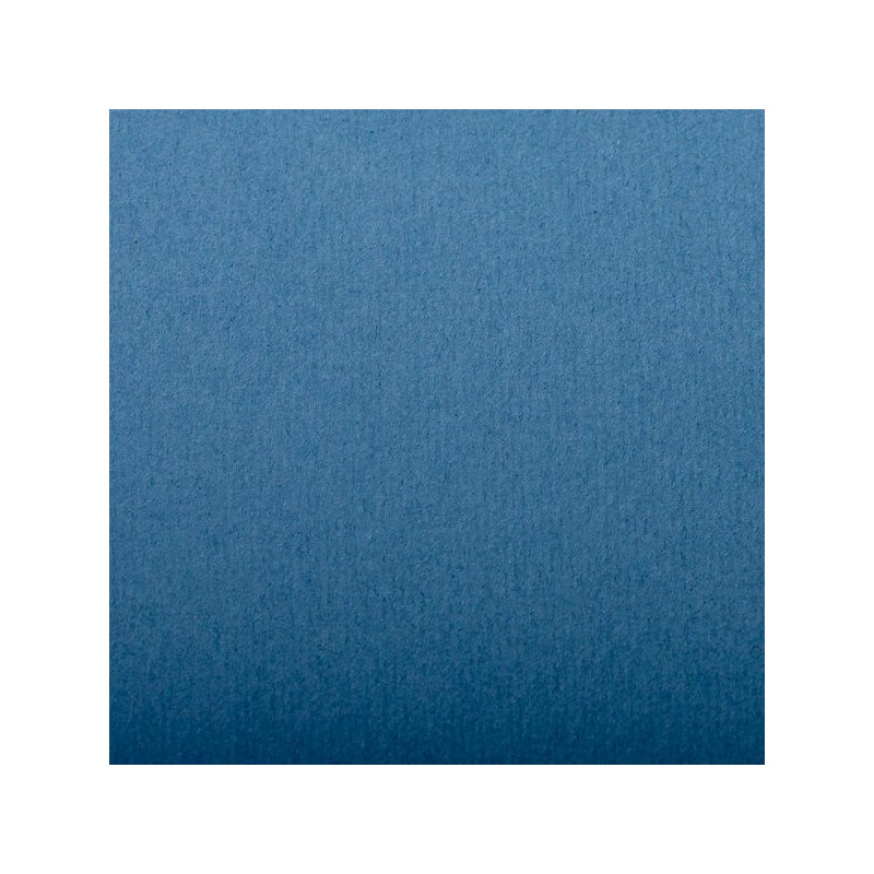 FEUILLE INGRES PASTEL 130 G 50 X 65 BLEU