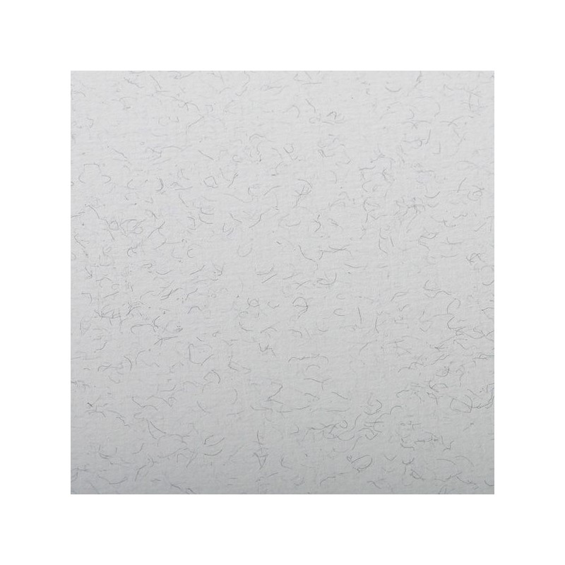 FEUILLE INGRES PASTEL 130 G 50 X 65 GRIS CLAIR