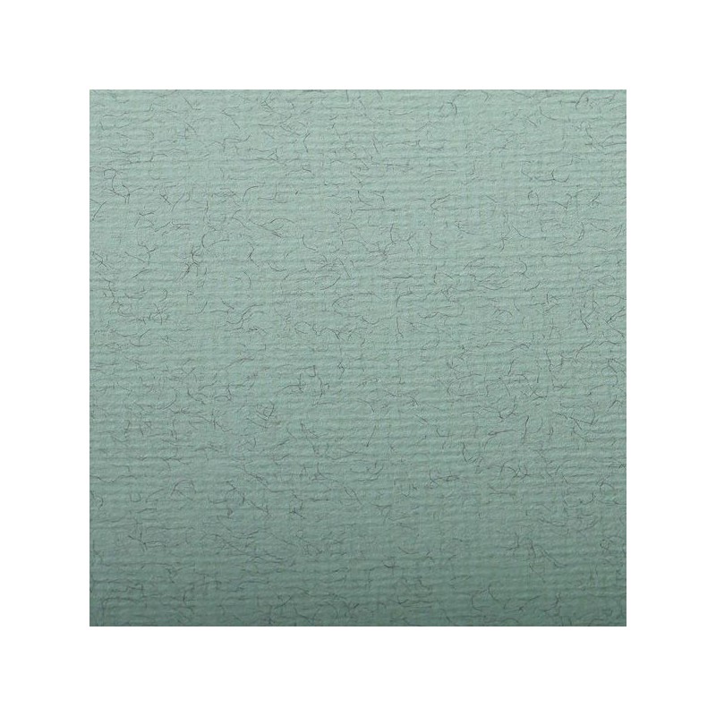 FEUILLE INGRES PASTEL 130 G 50 X 65 VERT D EAU