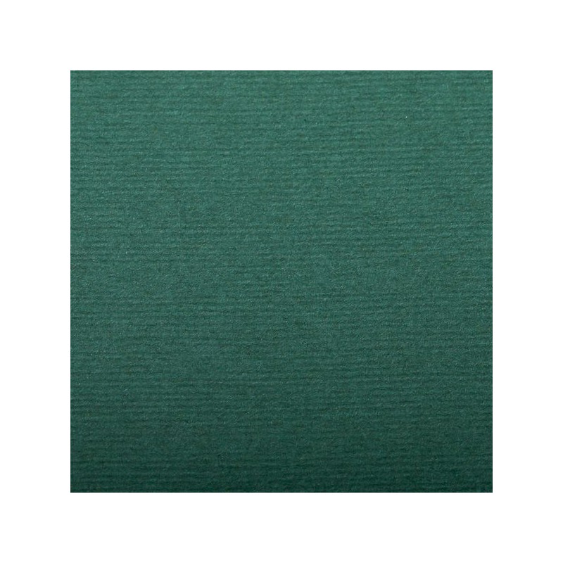 FEUILLE INGRES PASTEL 130 G 50 X 65 VERT PROFOND