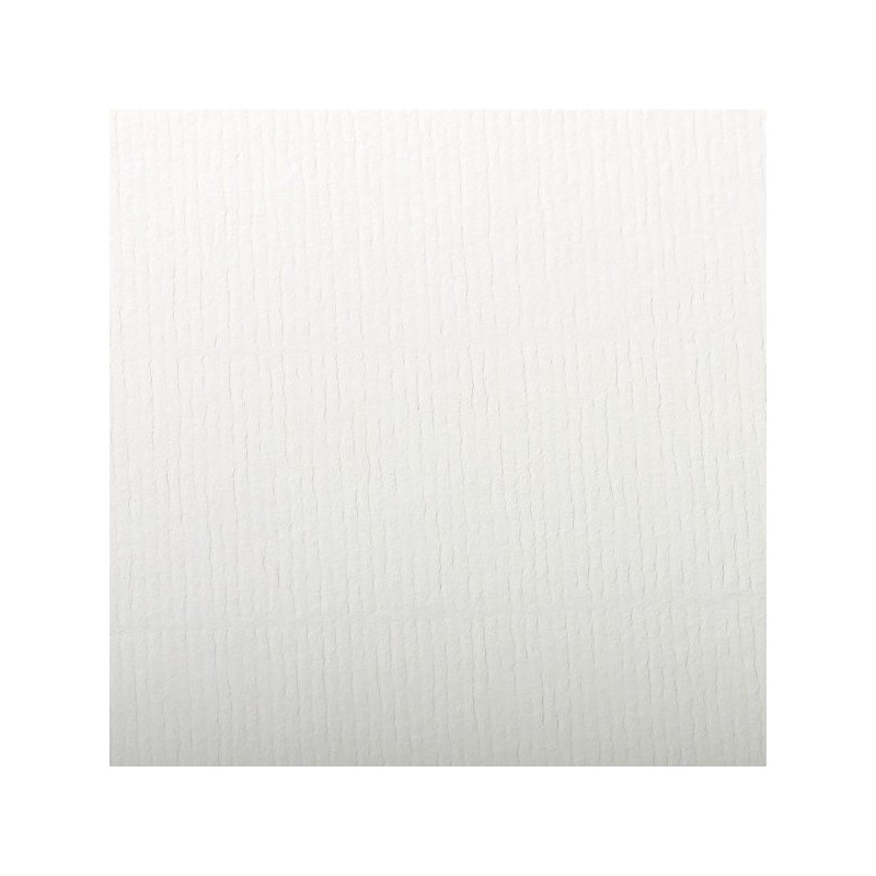 FEUILLE INGRES PASTEL 130 G 50 X 65 BLANC