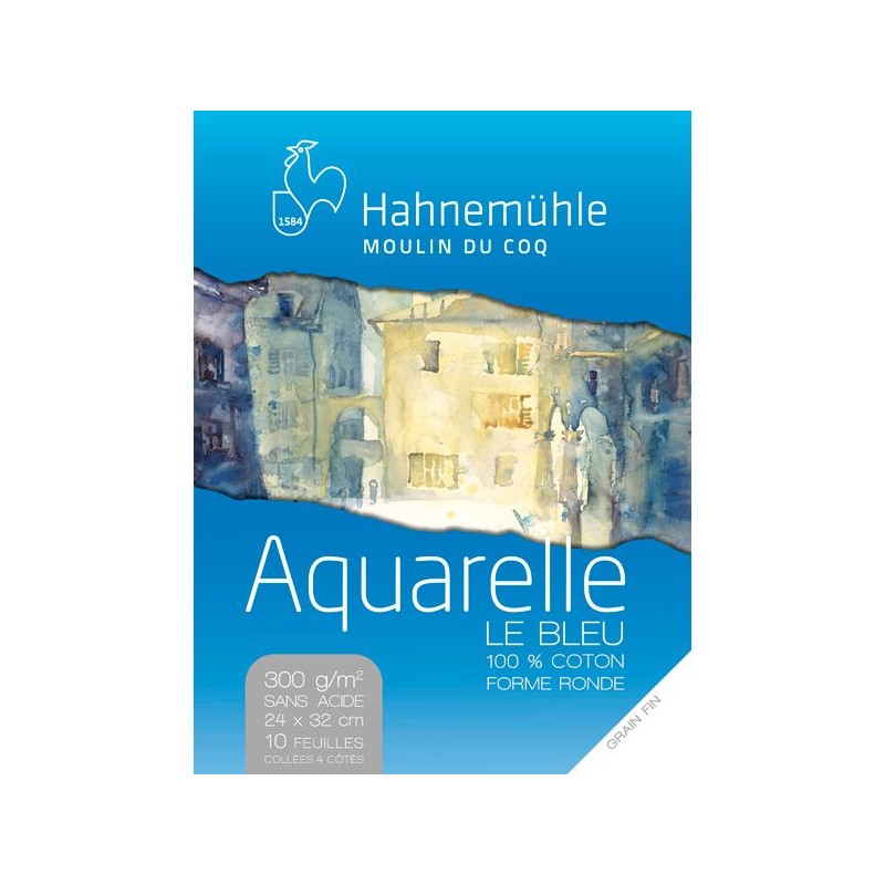 LE BLEU FEUILLE 56 X 76 300G GRAIN FIN