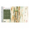 BAMBOO CARNET SPIRALE 15 FEUILLES 265 G 15.3 X 25