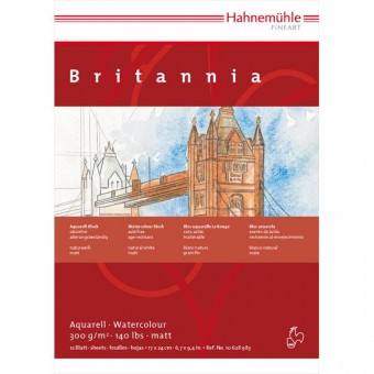 BRITANNIA FEUILLE 300 G GRAIN FIN