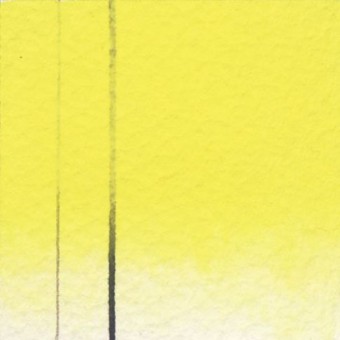 JAUNE PRIMEVERE DE CADMIUM