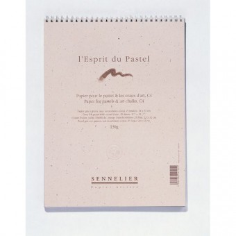 ESPRIT DU PASTEL BLOC SPIRALE 25 FEUILLES 130G GRIS