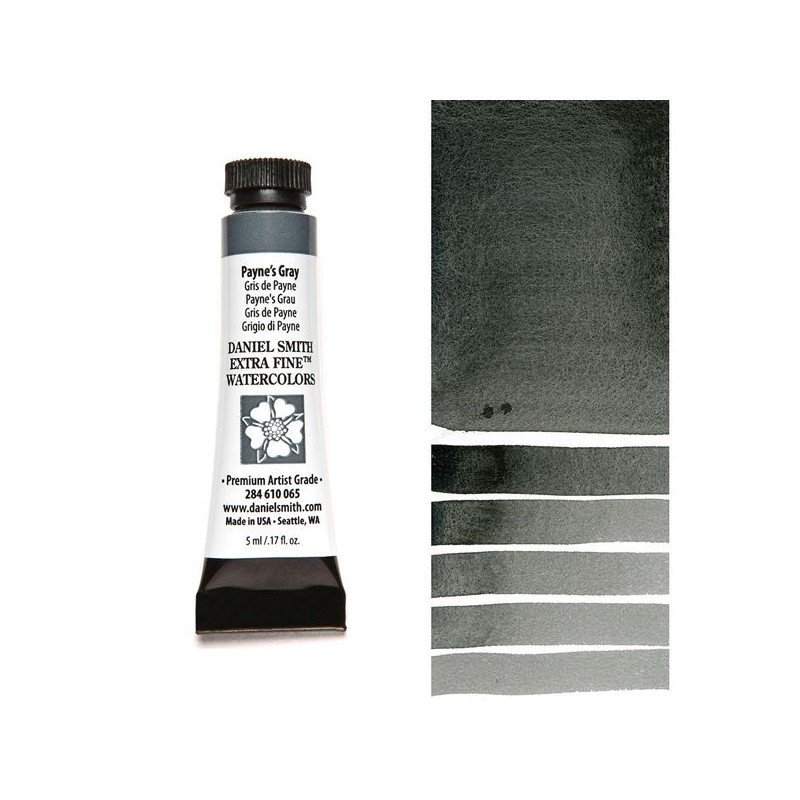 5 ML PAYNE'S GRAY  065