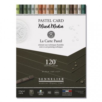 BLOC PASTEL CARD MIXED MEDIA 12 FEUILLES 410 G NOIR ANTHRACITE