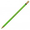 CRAYON MONDELUZ  VERT JAUNE 22