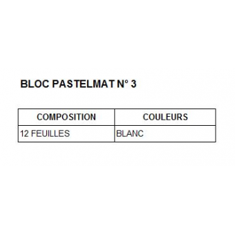 PASTELMAT BLOCS COLLES 1 CÔTE BLOC PASTELMAT 12 FEUILLES 360G N° 3 BLANC