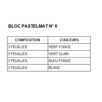 PASTELMAT BLOCS COLLES 1 CÔTE BLOC PASTELMAT 12 FEUILLES 360G N° 5